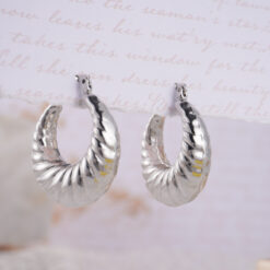 Aretes No 1006
