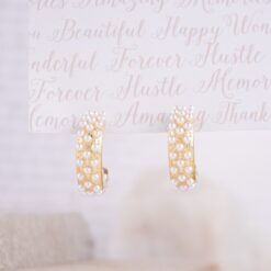 Aretes Elegancia Dorada 1102